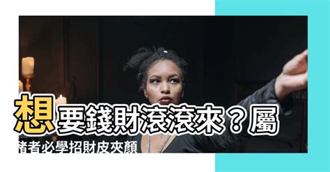 屬豬皮夾顏色|屬豬適合什麼顏色皮夾？專家分析及推薦